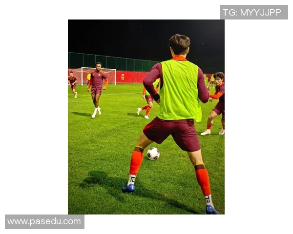 欧洲央行与足球的奇妙交集探讨金融与体育的深层联系